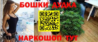 spice Краснознаменск
