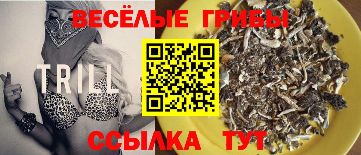 Галлюциногенные грибы GOLDEN TEACHER  Вход с VPN  Карпинск 