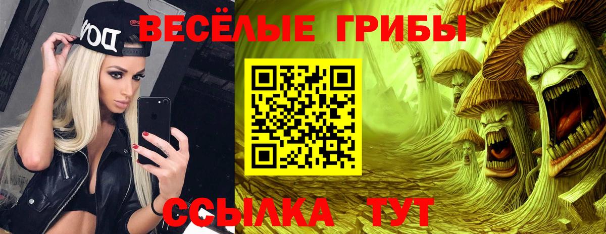Псилоцибиновые грибы прущие грибы Карпинск